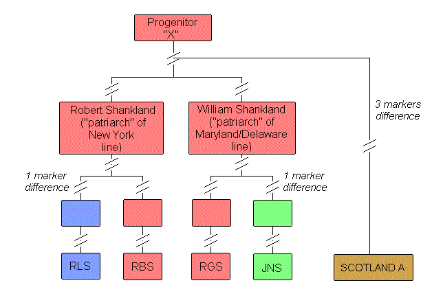 DNA family tree
